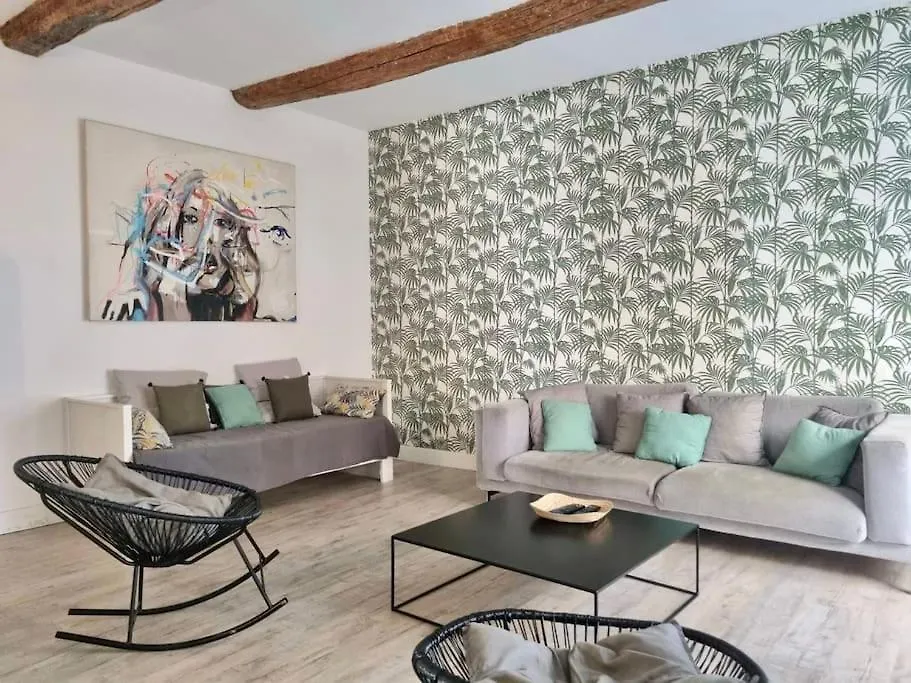 Spacious Flat - A/C - City Center - Terrace Apartment Aix-en-Provence