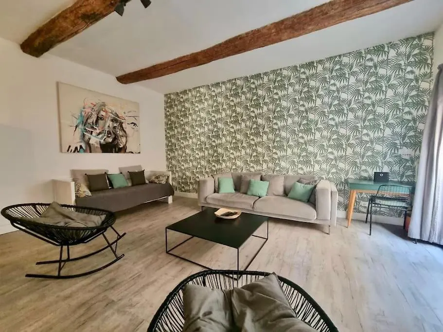 Spacious Flat - A/C - City Center - Terrace Apartment Aix-en-Provence France